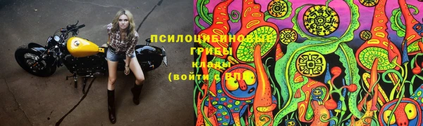 2c-b Алексин