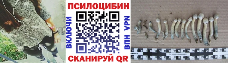 Псилоцибиновые грибы Cubensis площадка состав Жуков