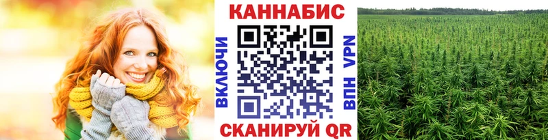 купить   Жуков  Каннабис VHQ 